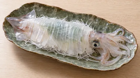 Yobuko Ika no Iki-zukuri